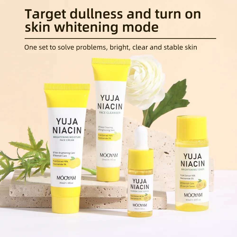 Factory Remove Dark Spots Whitening Set Face Skin Care Products Niacinamide Brightening Skin Care Set 602