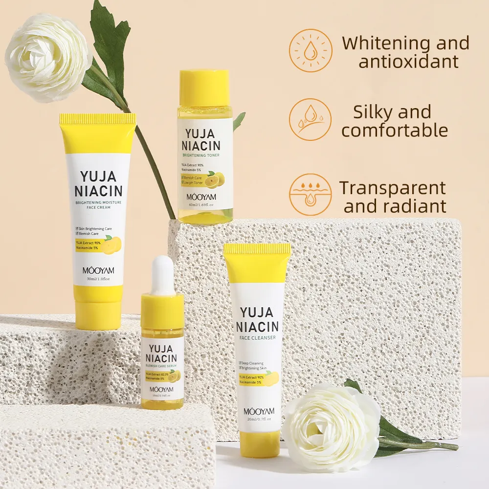 Factory Remove Dark Spots Whitening Set Face Skin Care Products Niacinamide Brightening Skin Care Set 602