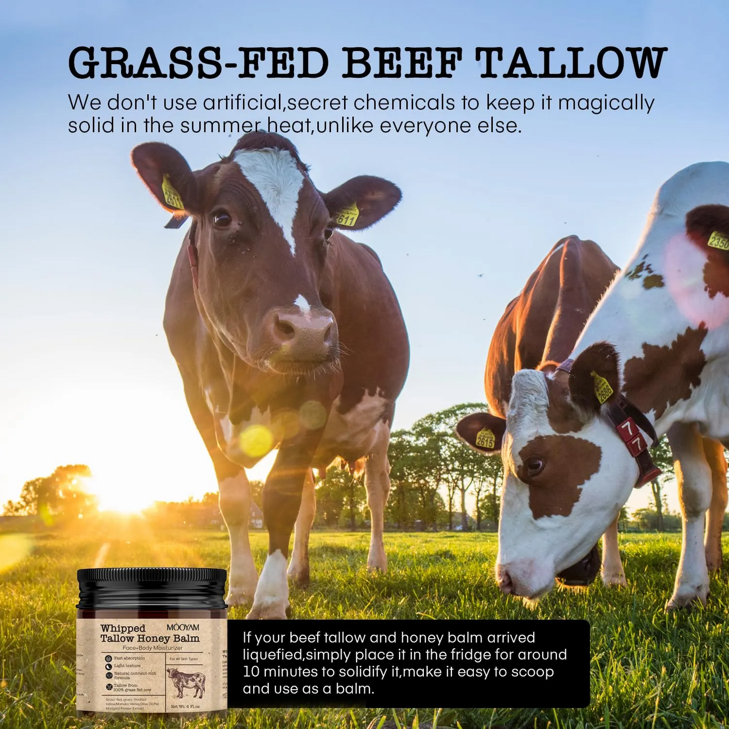 Private Label Fast Absorption Tallow Cream Grass Fed Whipped Beef Tallow With Honey Face Body Moisturizer 960