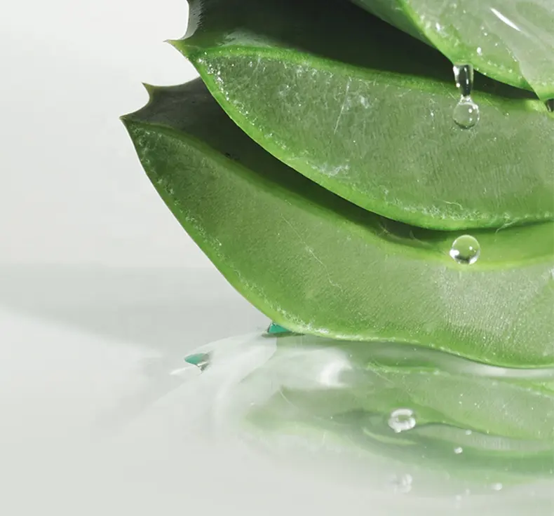 120ml Natural Aloe Vera Toner Oil Control Nourishing Repairing Skin Facial Hydration Pore Minimizing Facial Toner 1073