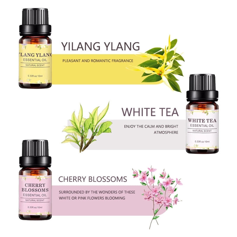 OEM & ODM Wholesale 6 Pieces Rose, Jasmine, Gardenia, Ylang Ylang, White Tea, Cherry Blossoms Essential Oil Set Manufacturer 082