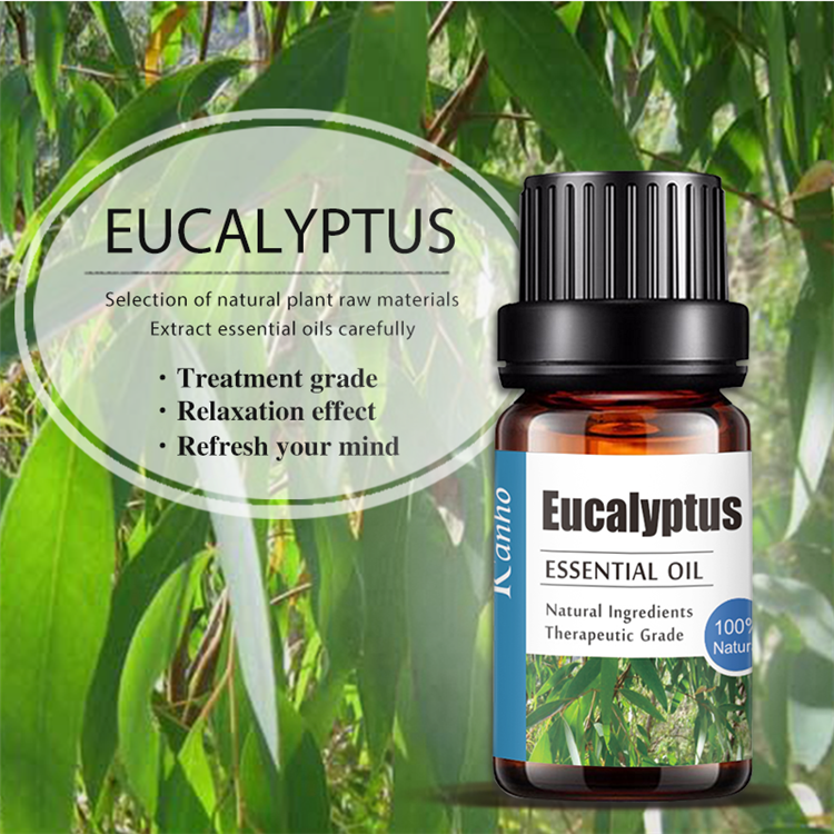 OEM Eucalyptus Aromatherapy Essential Oil Manufacturer, Essential Oils with Personal Label 070