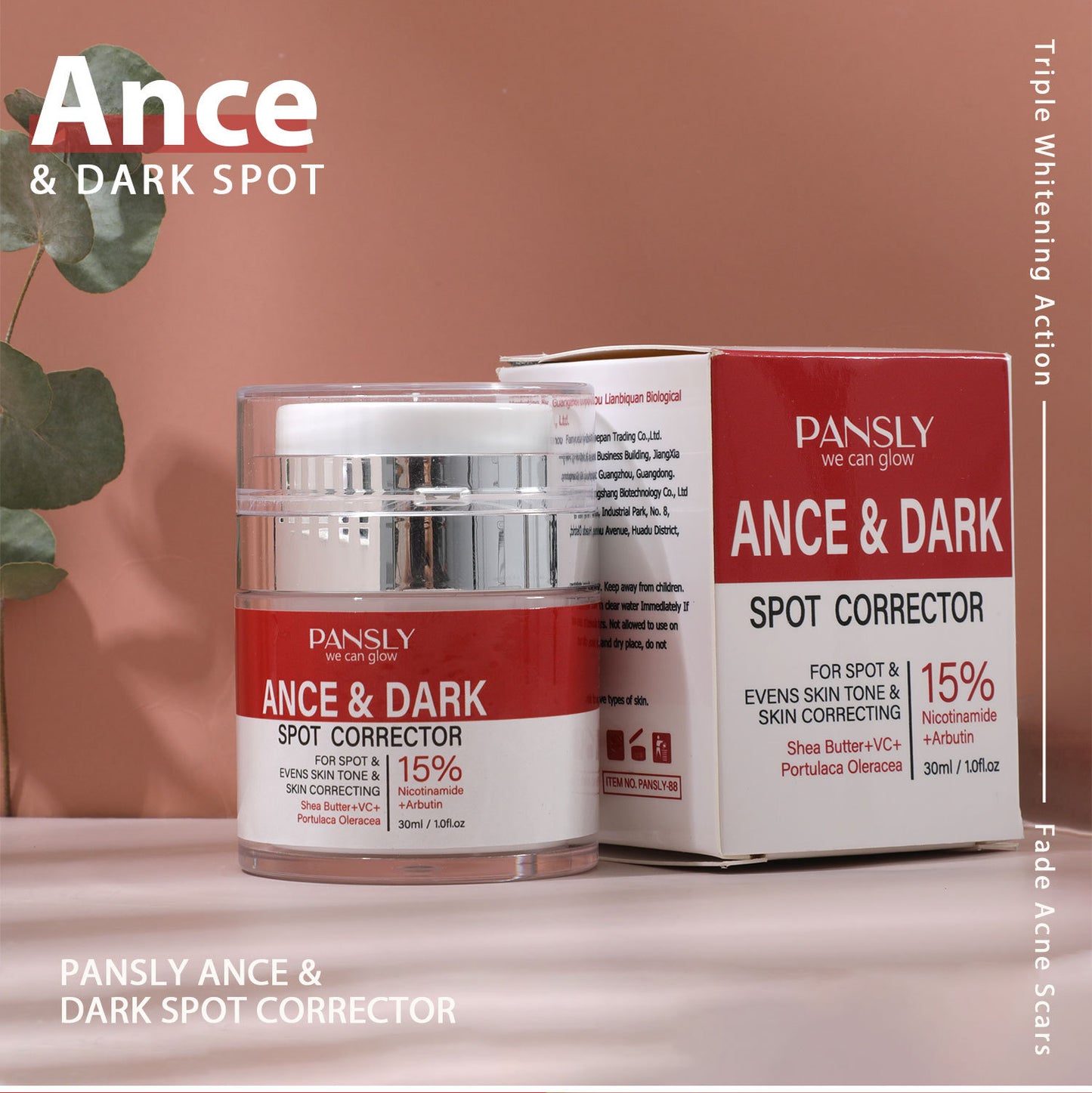 OEM Wholesale VC Anti-Acne, Niacinamide Anti-Spot Cream, Clean Pores, Facial Fade Cream 388