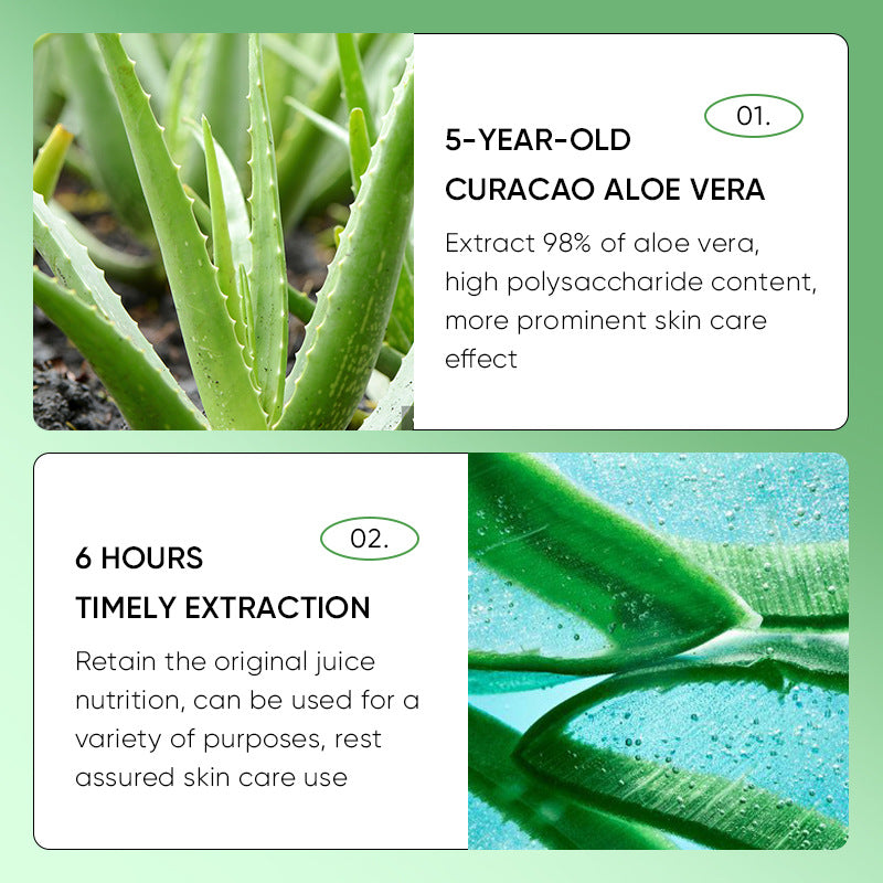 Wholesale Aloe Vera Nourishing Repair Eye Skin, Private Label Eye Cream Manufacturer 549