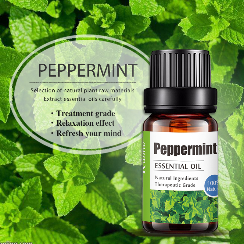 Wholesale Peppermint Aromatherapy Essential Oil, OEM Essential Oils Manufacturer with Personal Label 055
