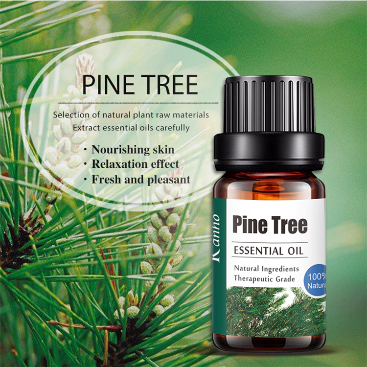 Wholesale Pine Tree Aromatherapy Essential Oil, OEM Personal Private Label Essential Oils 054