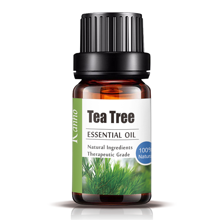 Natural Tea Tree Aromatherapy Essential Oil, OEM Private Label Essential Oils Factory 047