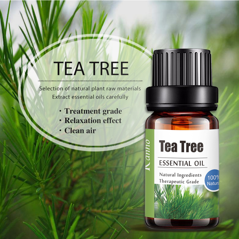 Natural Tea Tree Aromatherapy Essential Oil, OEM Private Label Essential Oils Factory 047